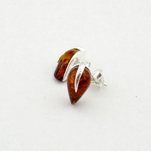 amber earrings 199